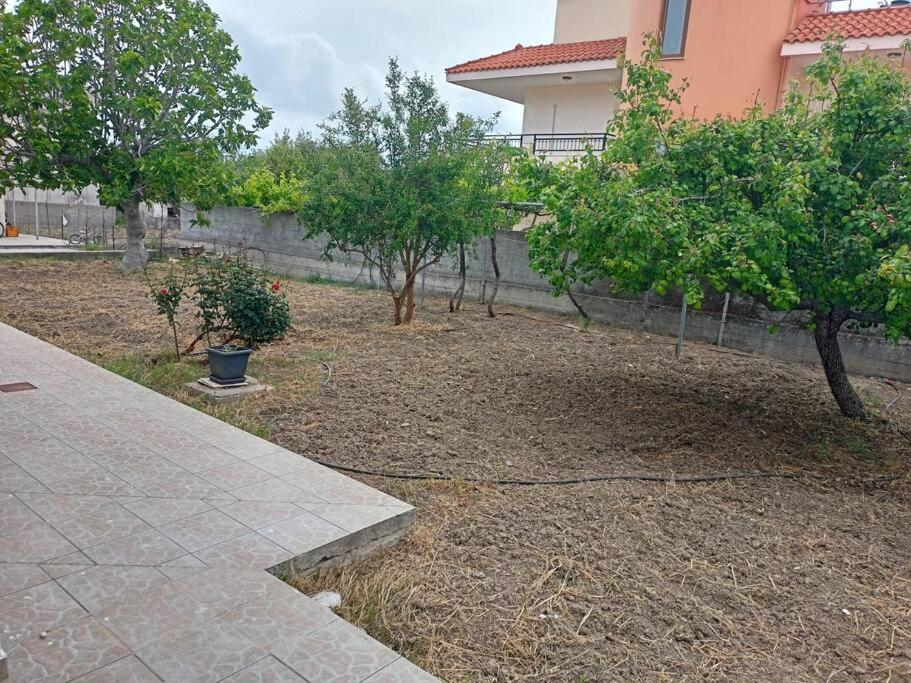 Apartament Hibiscus Appartments 1